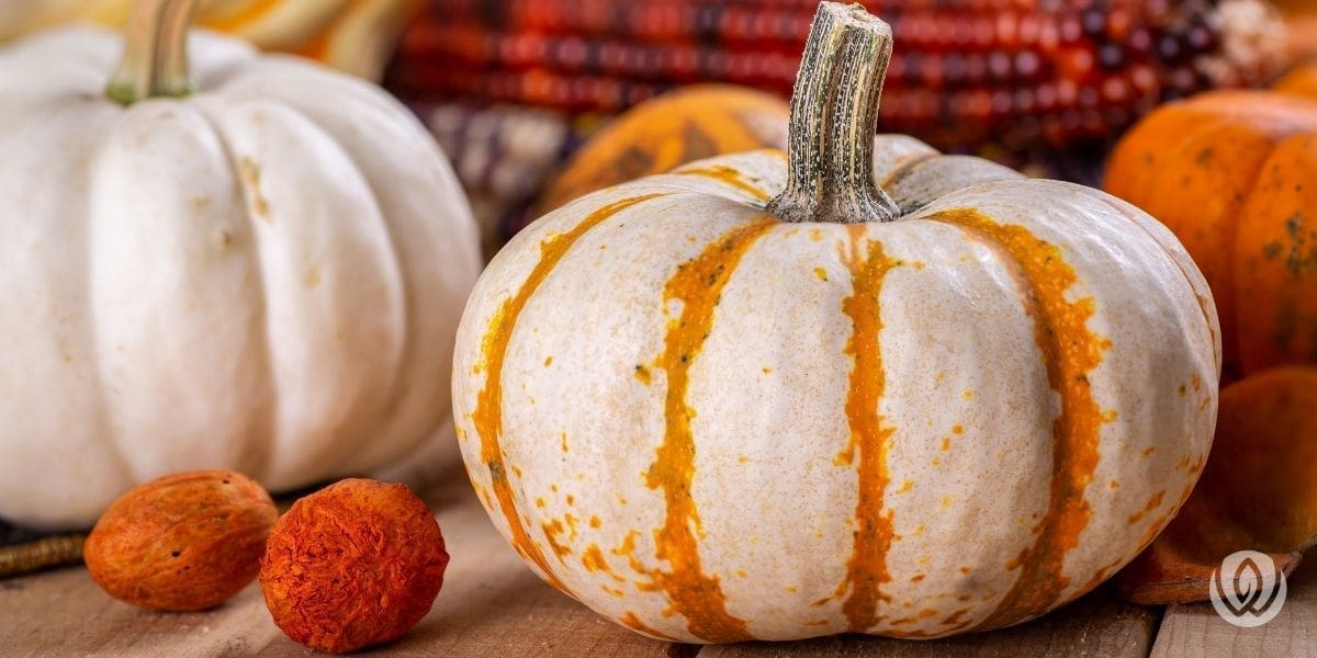 Fall-D&eacute;cor-Outdoor-Living-Spaces