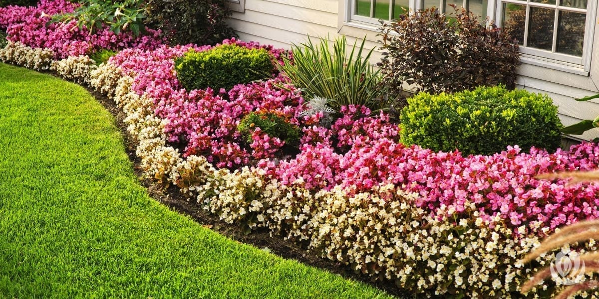 Landscape-Edging-Ideas