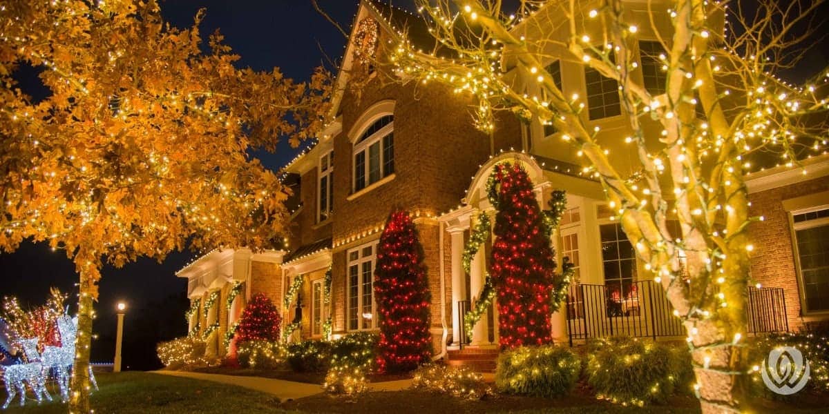 Outdoor Christmas Lights