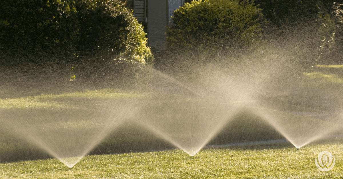 Lawn sprinkler watering garden